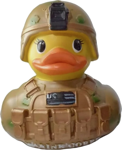 d24.png