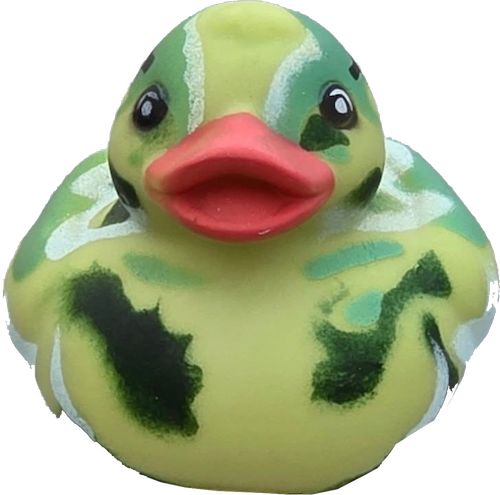 d243.png