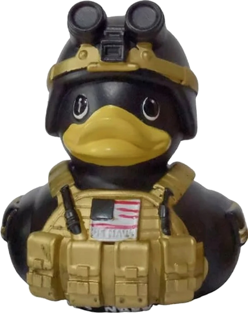 d25.png