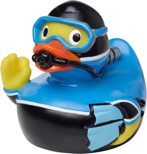 d294.png