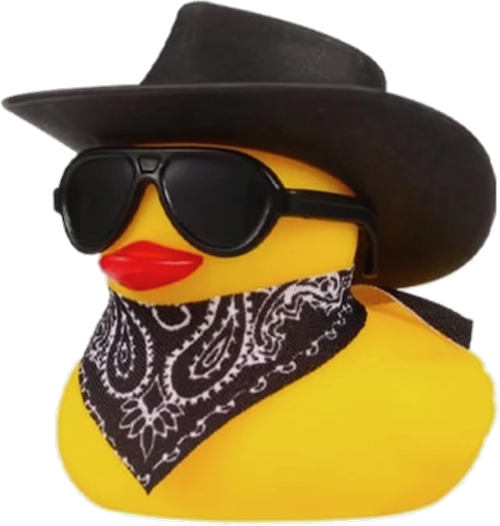 d47.png