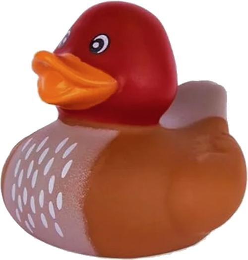 d68.png