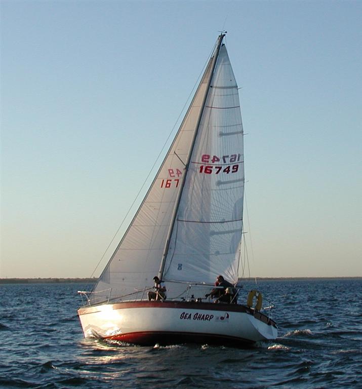 sea sharp1.jpg