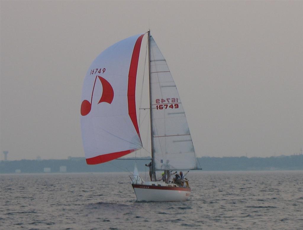 sea sharp3.jpg