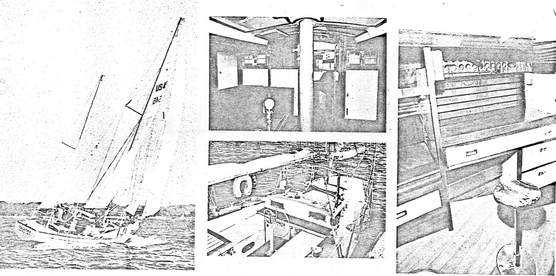 figure_2_large.jpg