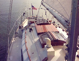 yellow rose deck 2.jpg