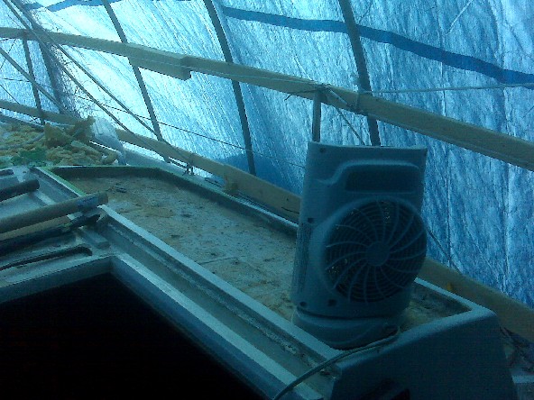 img00091.jpg