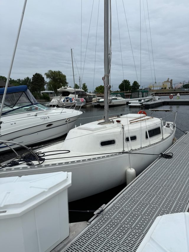 Rough Draft, Grampian 26
